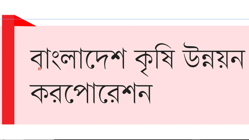 মাস্টাররোলের ৩১৭ কর্মচারীর চাকরি স্থায়ী হয়নি আজও