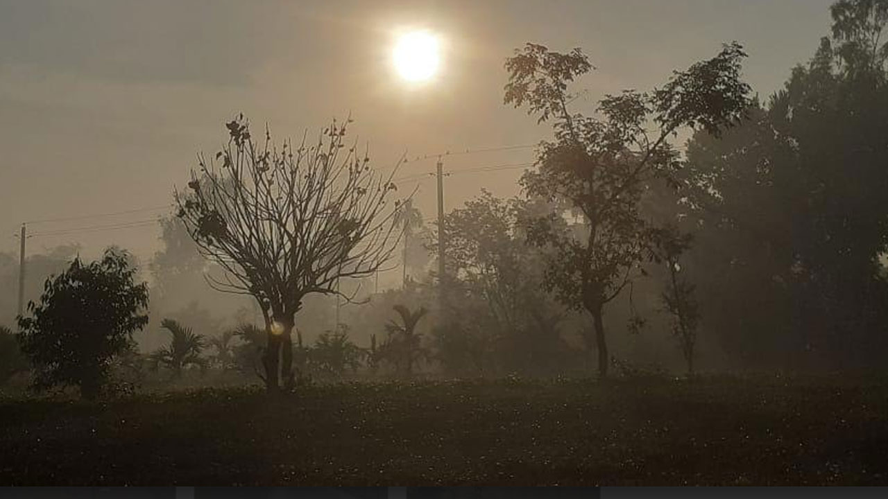 বাড়বে রাত-দিনের তাপমাত্রা