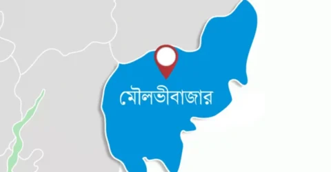 বড়লেখায় তরুণী ধর্ষণের ঘটনায় গ্রেপ্তার ১