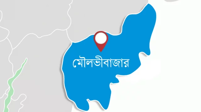 বড়লেখায় তরুণী ধর্ষণের ঘটনায় গ্রেপ্তার ১