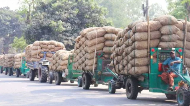 আলুর দাম কম, চাষিরা ছুটছেন হিমাগারে