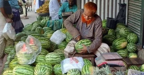 সিরাজগঞ্জের বাজারে উঠেছে আগাম তরমুজ