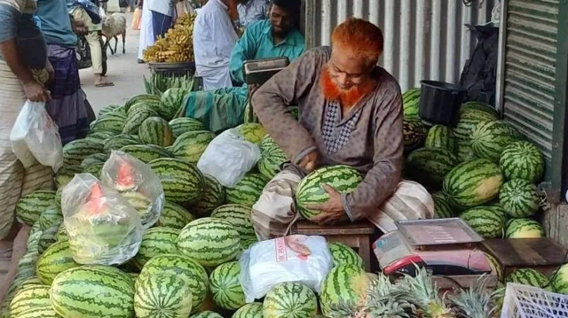 সিরাজগঞ্জের বাজারে উঠেছে আগাম তরমুজ