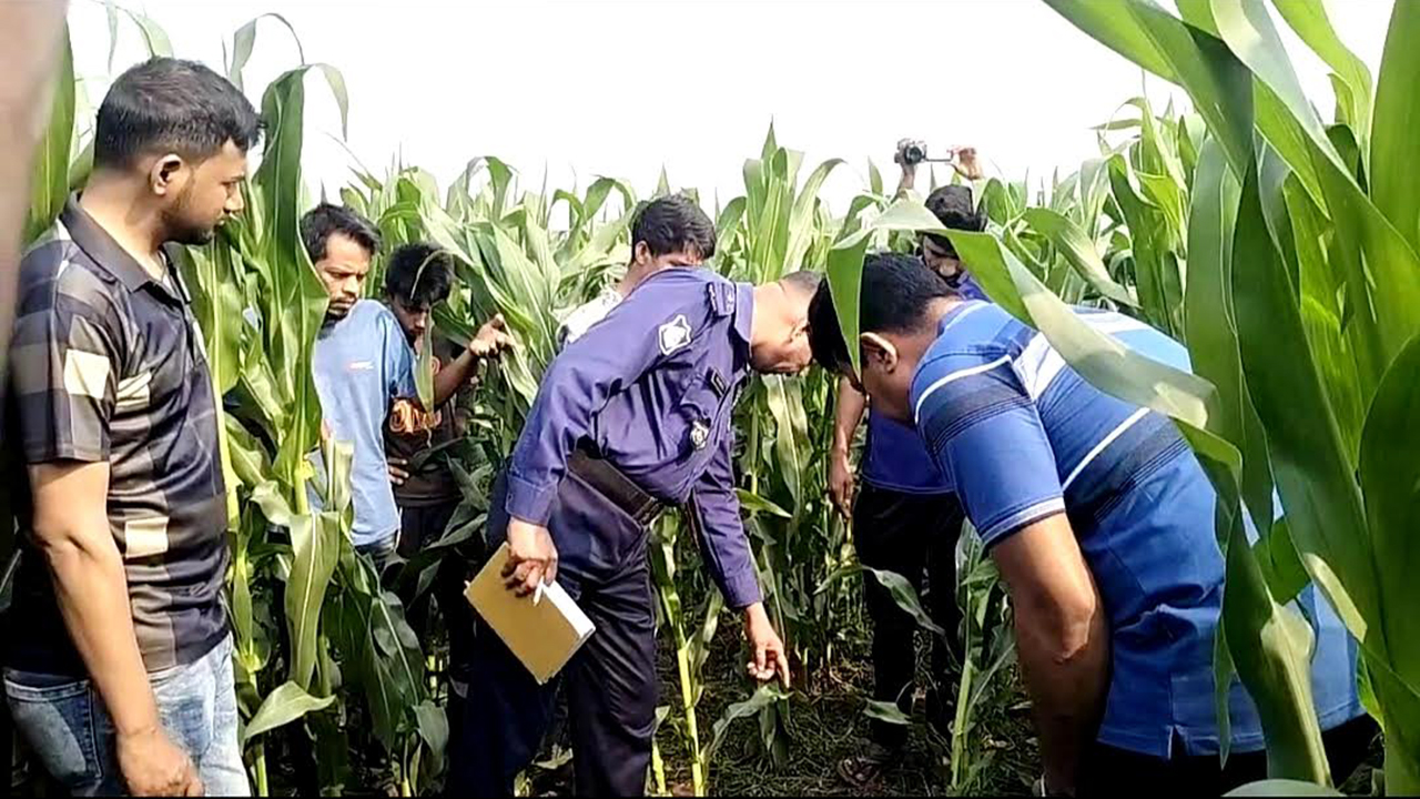 নাটোরে ভুট্টাখেত থেকে যুবকের রক্তাক্ত মরদেহ উদ্ধার