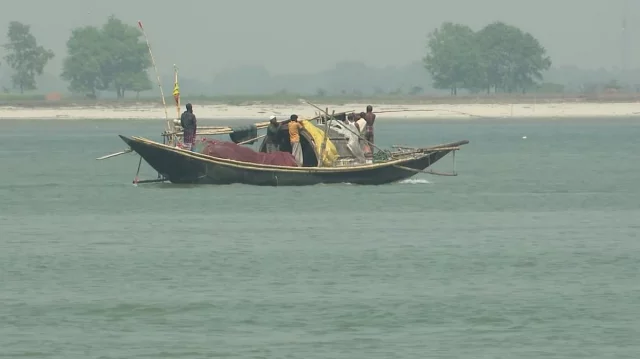 নিষেধাজ্ঞা অমান্য করে পদ্মায় অবাধে চলছে ইলিশ শিকার