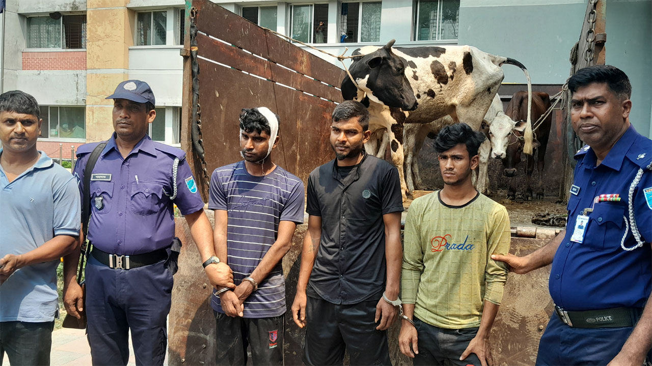 শিক্ষকের খামার থেকে গরু চুরি করে পালানোর সময় ৩ চোর গ্রেপ্তার